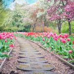 Spring Clean Your Health